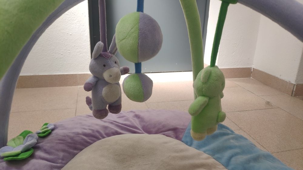 Tapete atividades Zippy