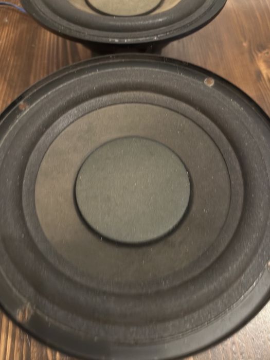 Низькочастотні динаміки