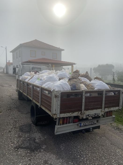 Recolho monos e sucatas na zona centro do país