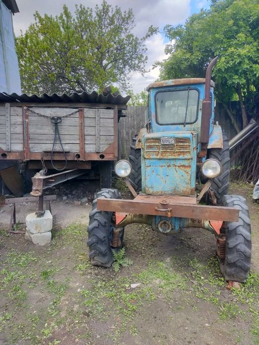 Продам трактор Т-40 з принципом та плугом
