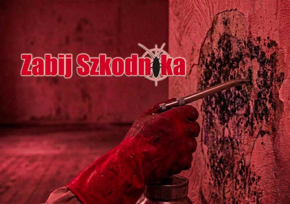 Ozonowanie, odgrzybianie, osuszanie pomieszczeń