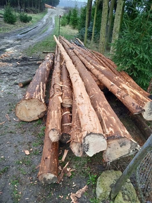 Drewno dłużyca korowana świerk i modrzew