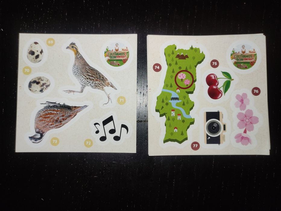 Cultivamos o bom contigo - Auchan