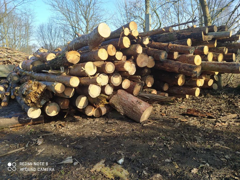 Sprzedam drewno opałowe Sosna.