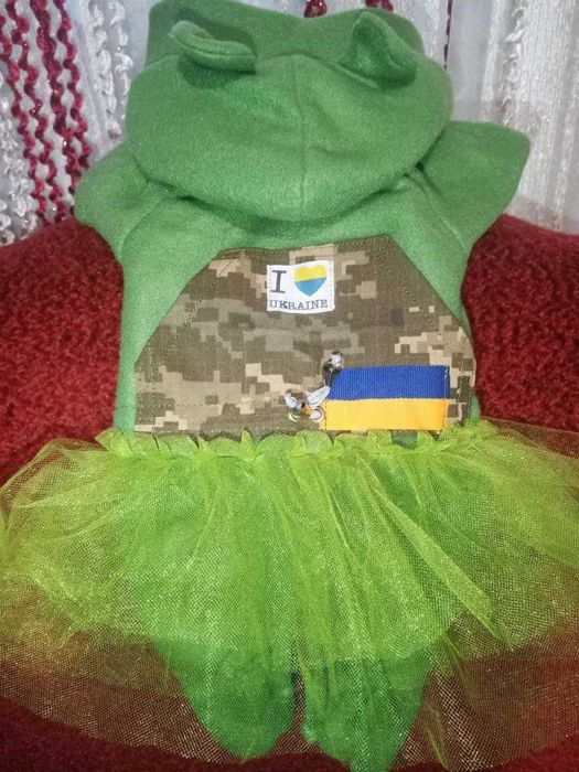 Одяг для собак та котів