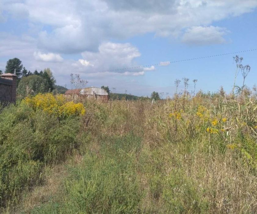 Продаж землі  0.2500 га Підгірці вул. Лугова, Київська область, Обухівський район