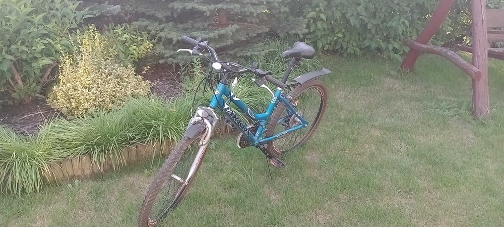 Rower Arkus Classic Junior 24"