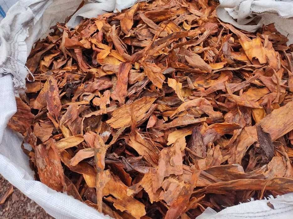 Kora Sosnowa Sortowana Damgreen Producent Podłoży Ogrodniczych