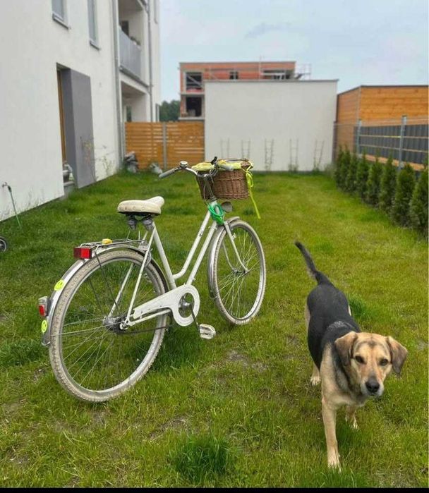 Stylowy ROWER miejski na sprzedaż!