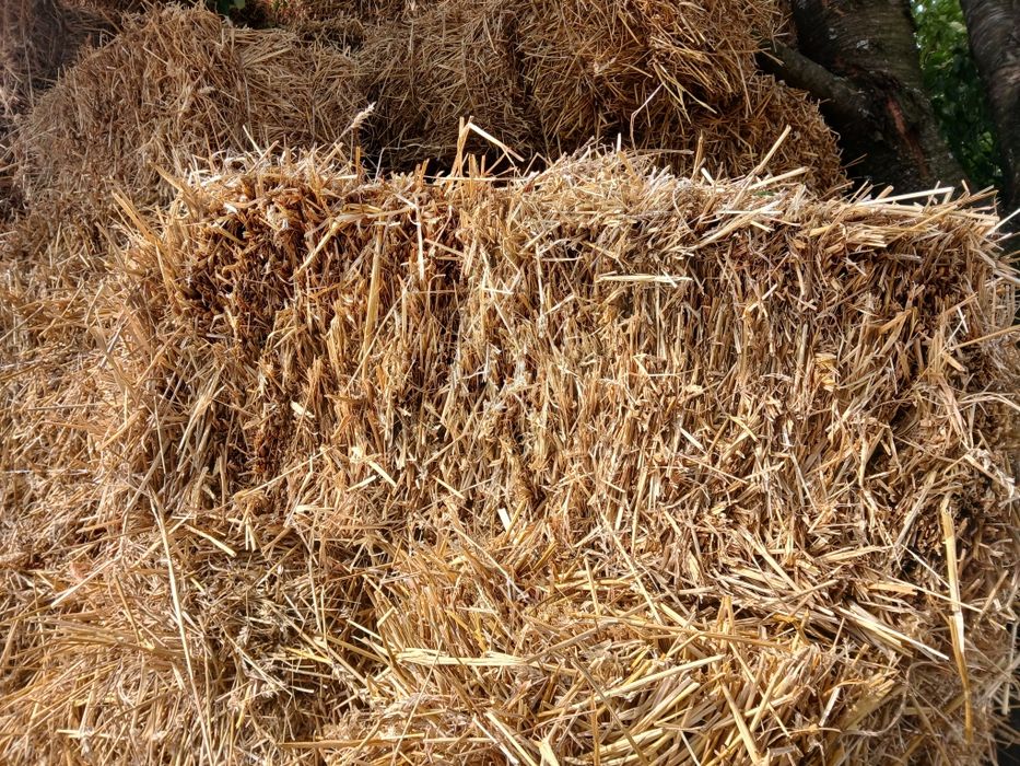 Продам тюки пшеничної таячної,соломи.