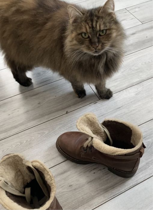 Ciepłe trzewiki skórzane z kożuchem rozmiar 36