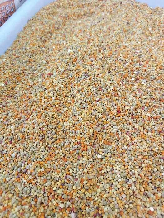 Квітковий (бджолиний) пилок 2024