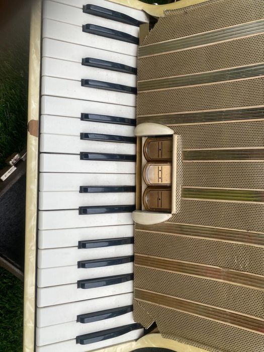 Acordeão Hohner Arietta IM