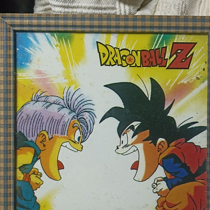 Moldura Dragon Ball Z