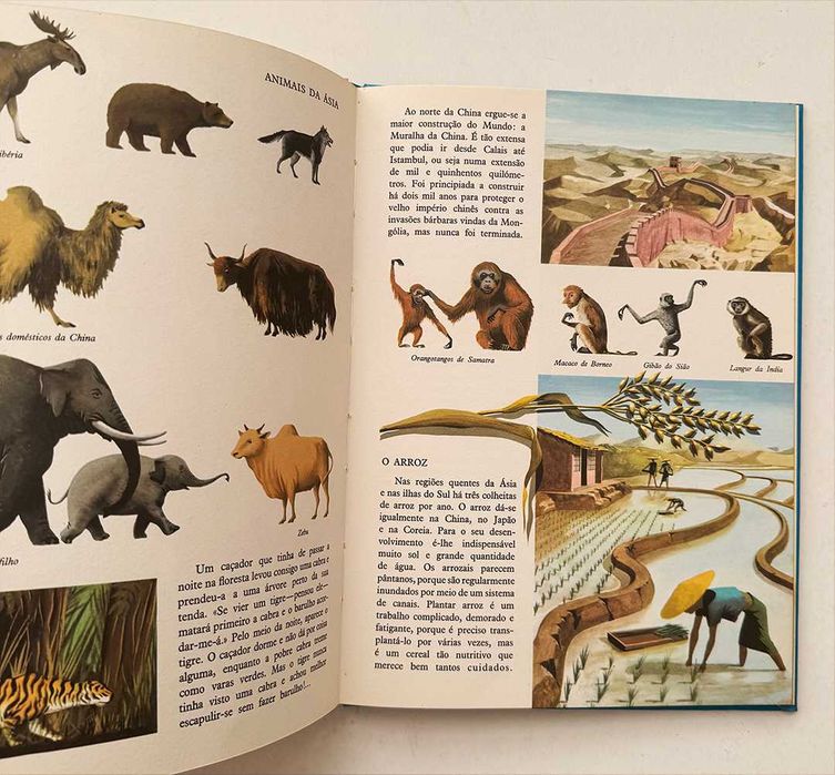 1967_A MINHA PRIMEIRA ENCICLOPEDIA. Colecção completa, composta por 3 volumes. Livros em excelente estado geral, como novos