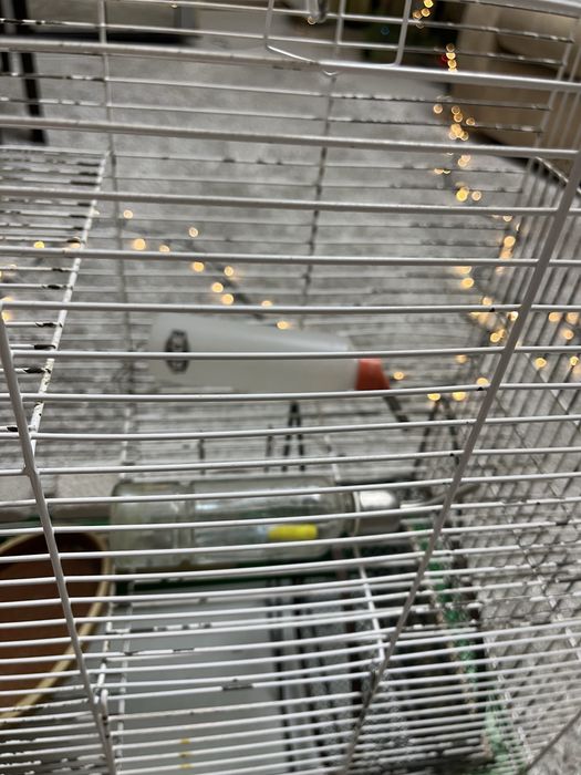 Большая клетка для грызонов, клетка для грызуна.