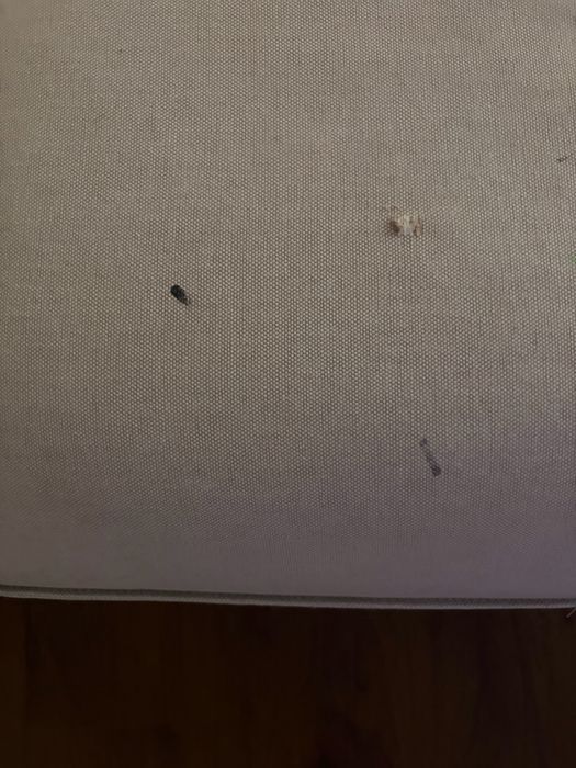 Chaise longue Ikea + Capa nova