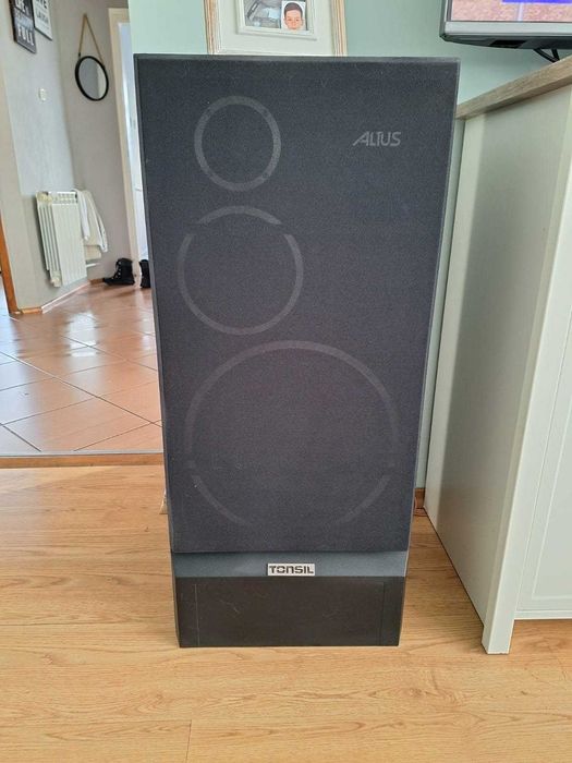 Pioneer VSX-933 + Tonsil Altus 300 + Aktiv 250