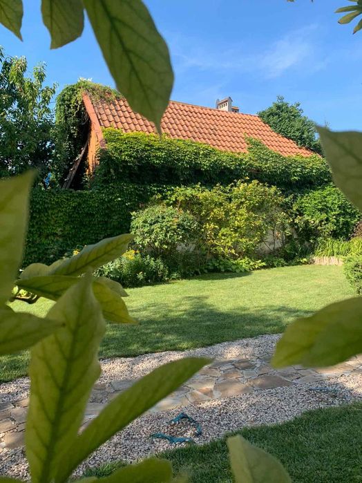 Аренда ДОМА в Совиньоне с видом на море