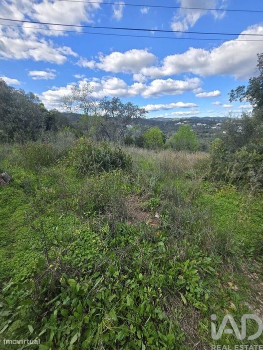 Terreno T3 em São Brás de Alportel de 256,00 m2