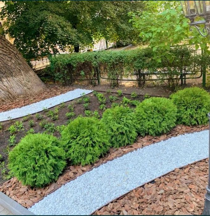 Коммерческая недвижимость по адресу ул. Жилянская (площадь 1320 м²) - Atlanta.ua - фото 3