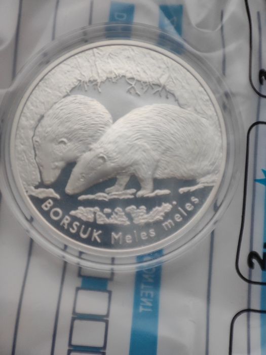 Moneta srebrna 20 zł Borsuk NBP Ag.925