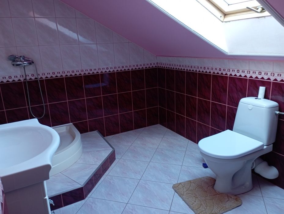 Дім 200 м2 ділянка 12 сотин Берегово Виноградна