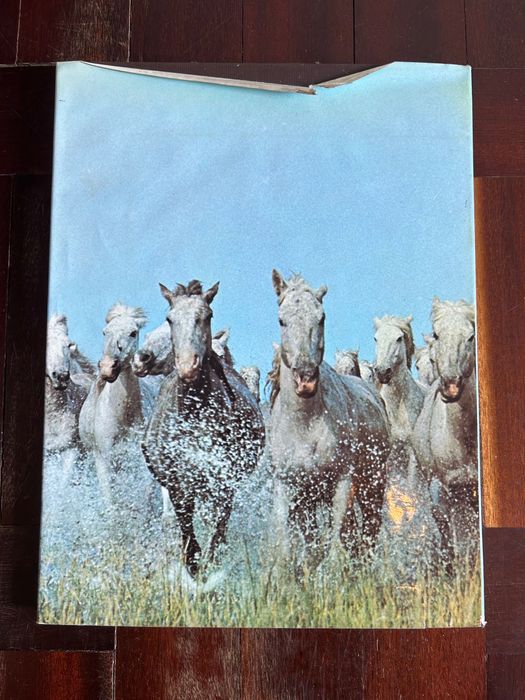 Anne Alcock - O Mundo dos Animais / Cavalos