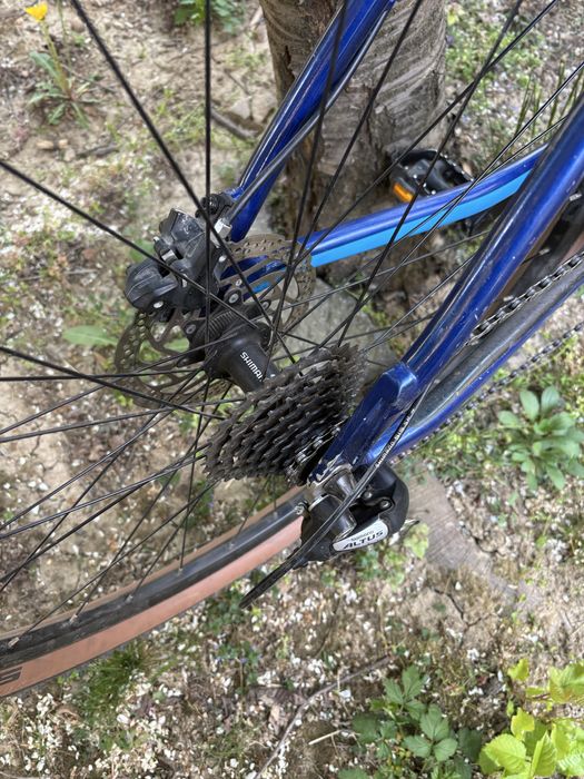 Canyon grand canyon al 29