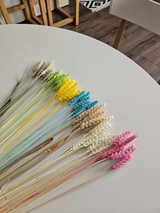 Пшениця різнокольорова з вусиками та без