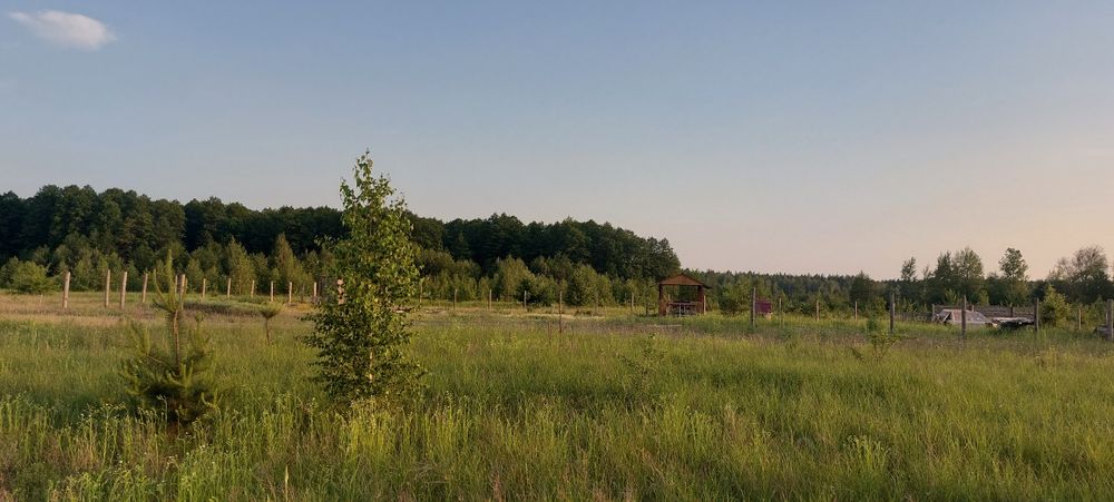 Земельна ділянка