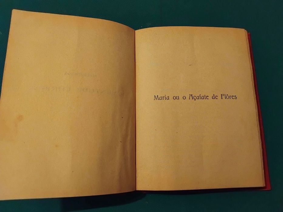 Livro A Cruz de Madeira