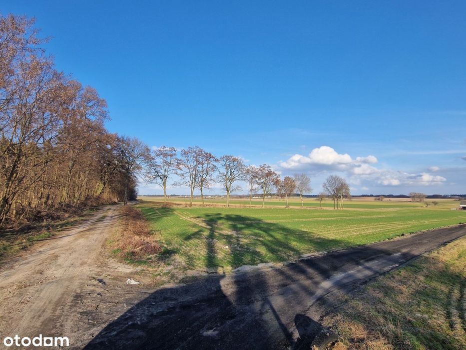 Tworzymirki działka budowlana 960 m2 pod lasem