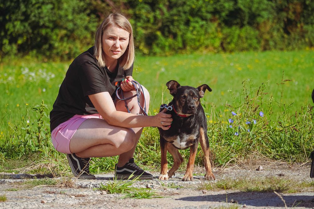 BREK - smutny, łagodny piesek