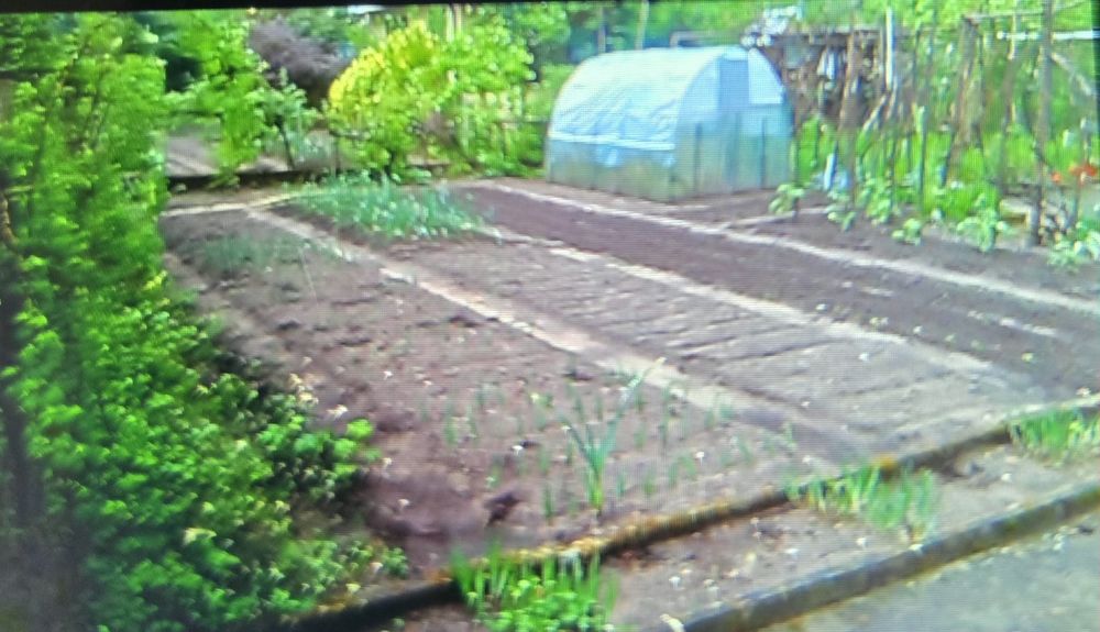 ROD "Zacisze Leśne" Wilkanowo