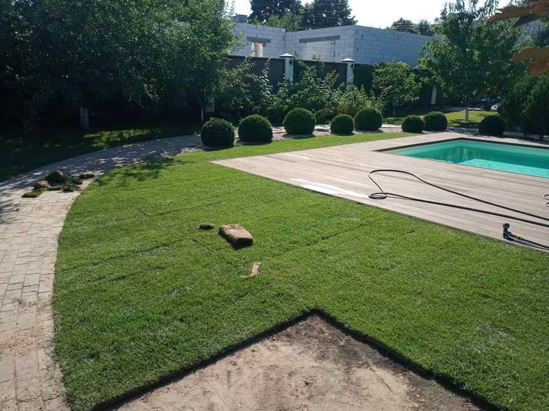 Авто полив.озиленение. обслуживание