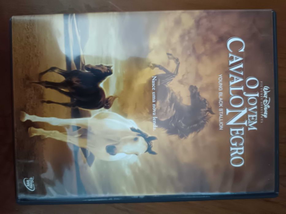 filme dvd original - o jovem cavalo negro