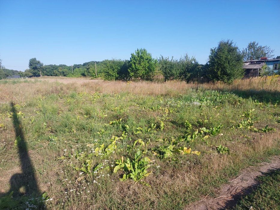 земельна ділянка