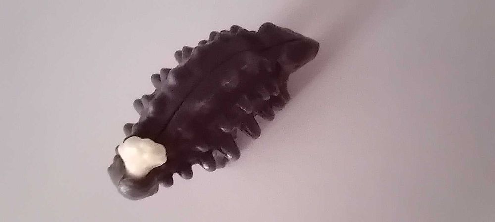 Brindes OVOs Kinder (Clamidosauro, Anquilossauro e Dragão)