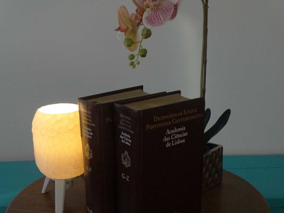 Dicionário da Lingua Portuguesa contemporânea