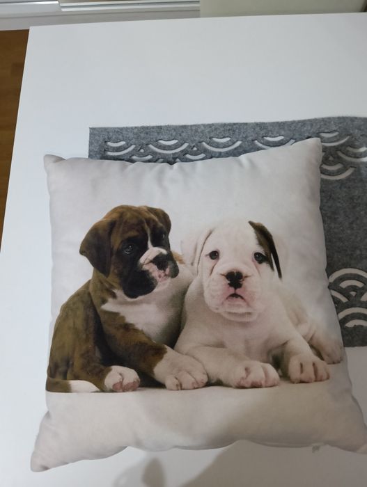 Poduszka ozdobna z psami