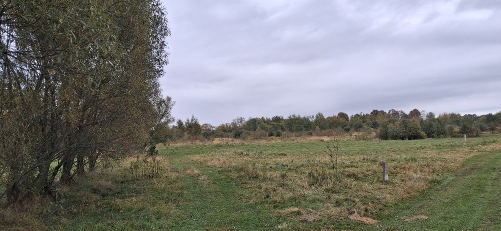 Земельна ділянка 11соток під забудову,Бірки.Без комісії для покупця