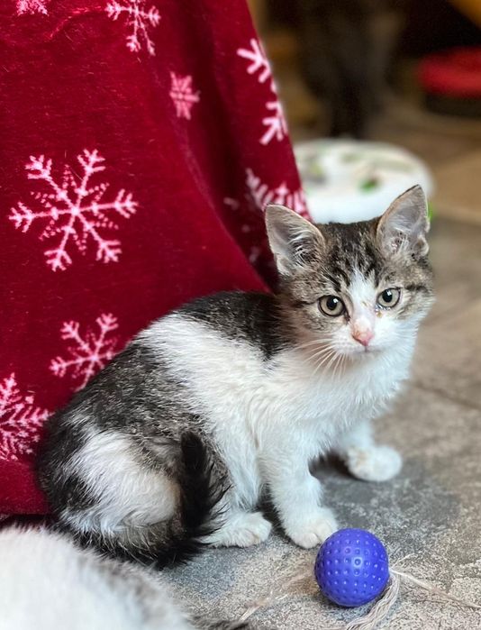 Kochana Patoka czeka tutaj na Ciebie !