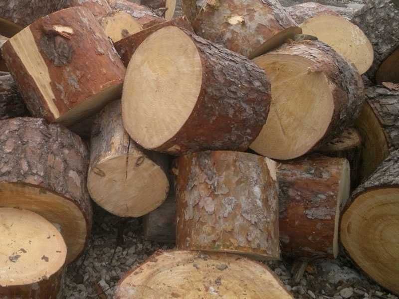Дрова для опалення різних порід до вашого дому.