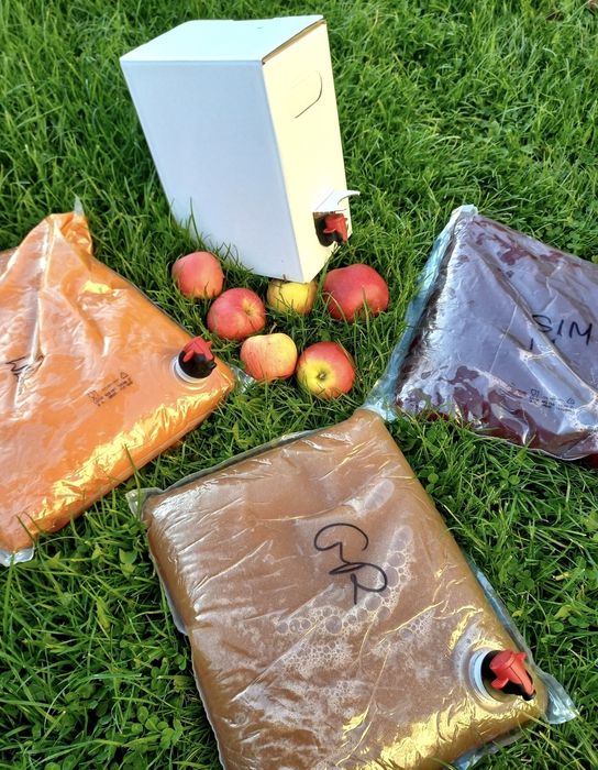 Soki tłoczone 5LITRÓW