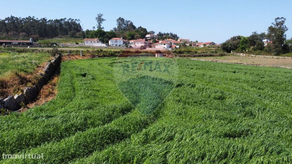 Terreno  para venda — Viatodos, Grimancelos, Minhotães E Monte De Fralães, Braga