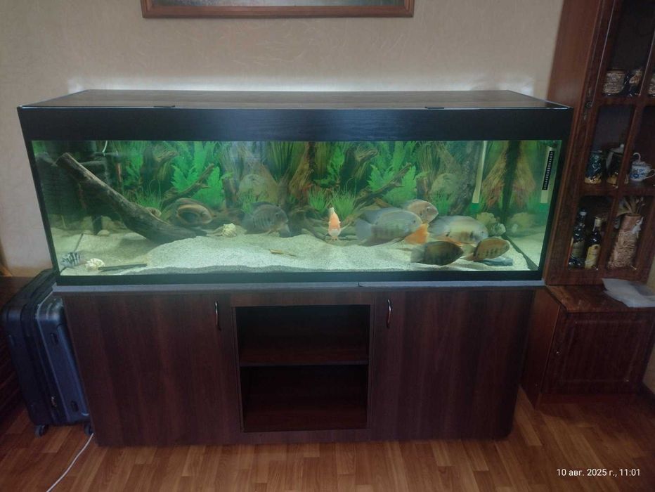 Акваріум 550 літрів (повний комплект)
