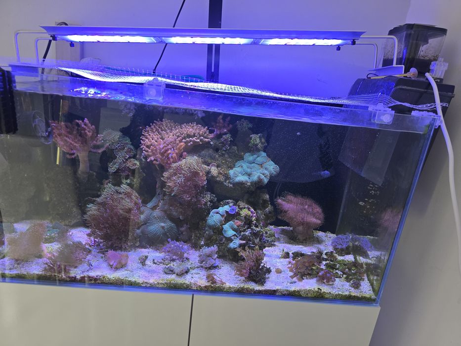 Vendo aquario marinho completo