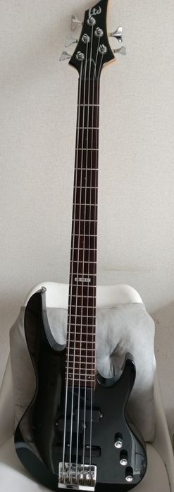 Бас гітара ESP LTD B-55