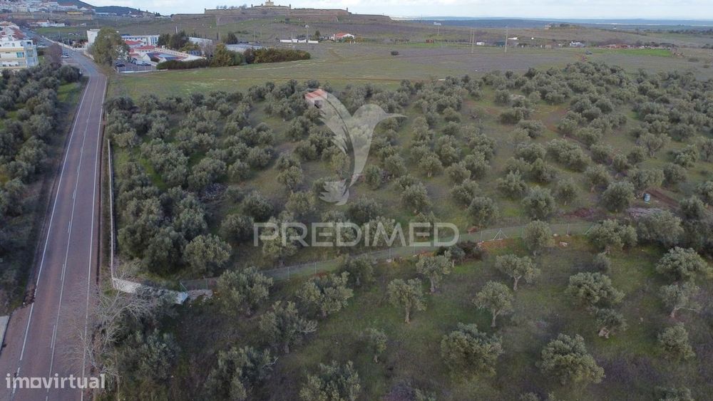 Terreno Urbanização Carvalha Elvas